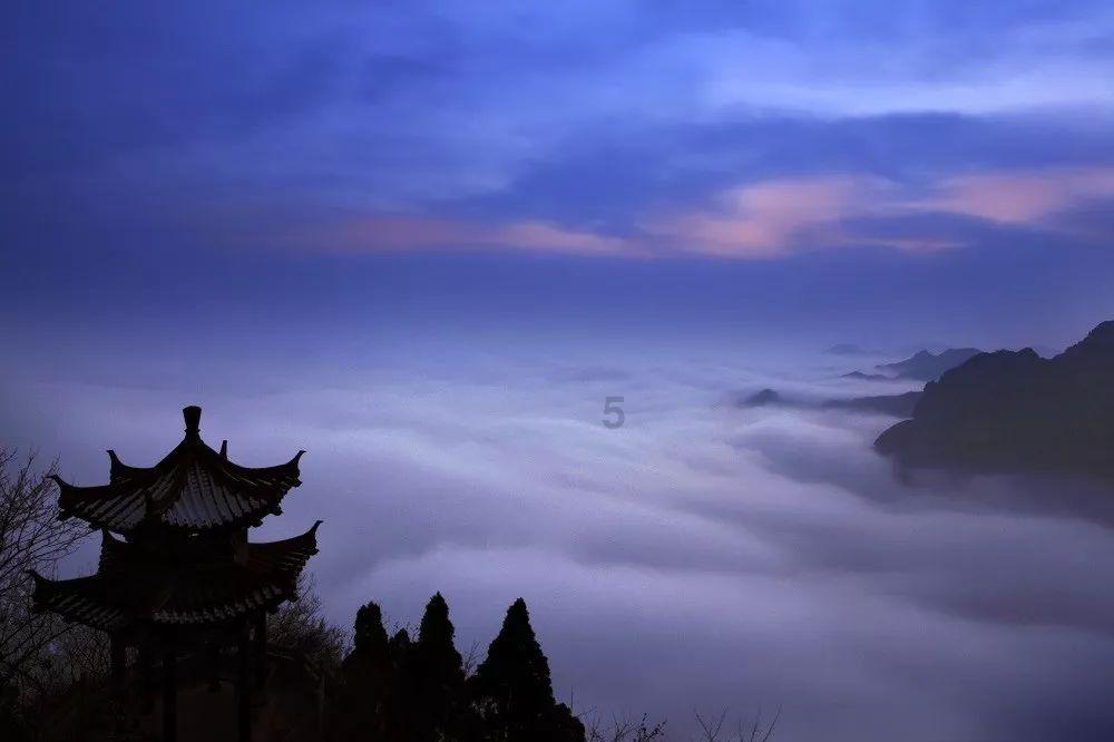 发现知识星球平台-为什么左边小腿老抽筋啊?尽在这里